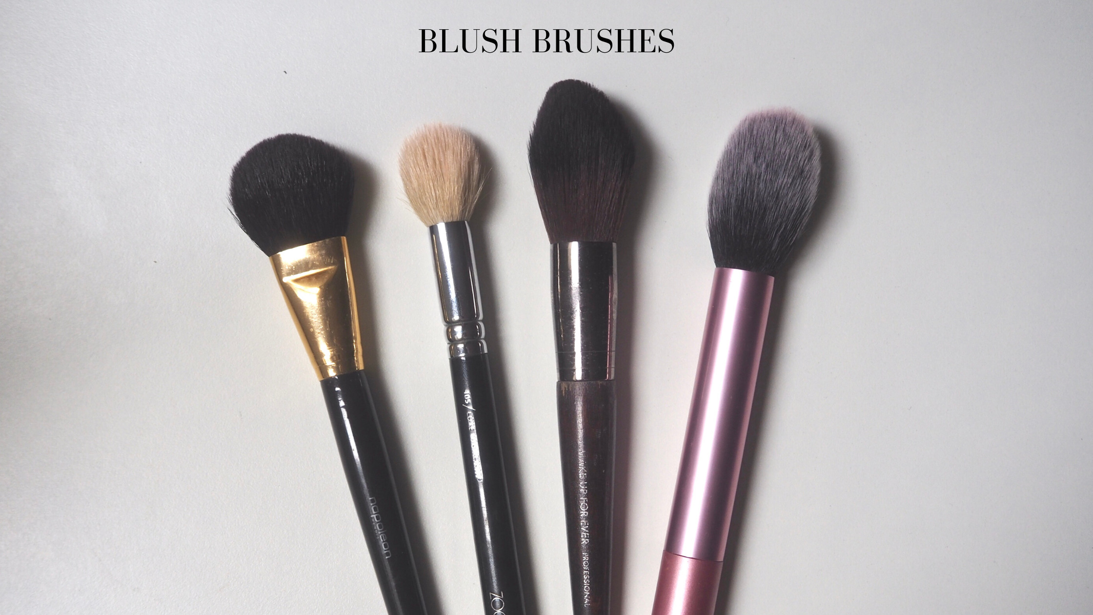 Blush brushes